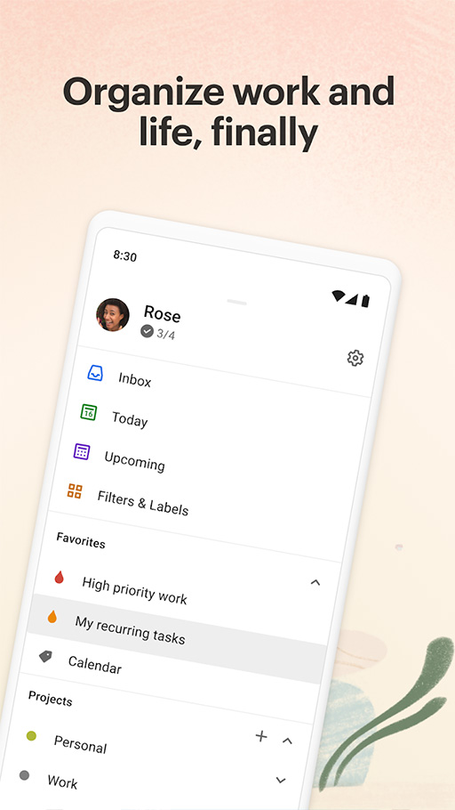 Todoist screenshot with tasks