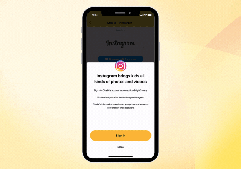 how to set up instagram on brightcanary